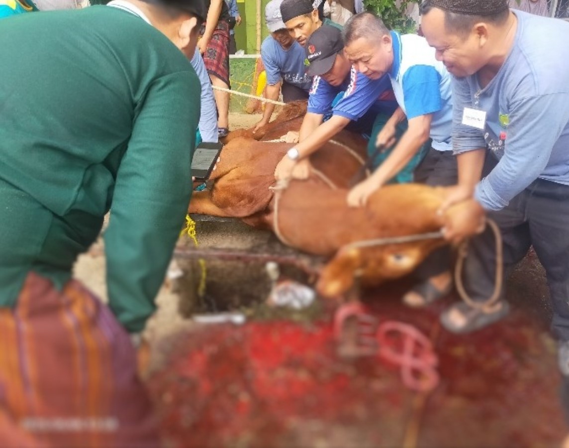 Ponpes Al-Muhajirin: Penyembelihan Kurban Terbaik Dilakukan di 10 Dzulhijah Meski Bertepatan Hari Jumat